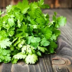 De ce unii oameni simt coriandrul ca pe săpun: explicația genetică surprinzătoare