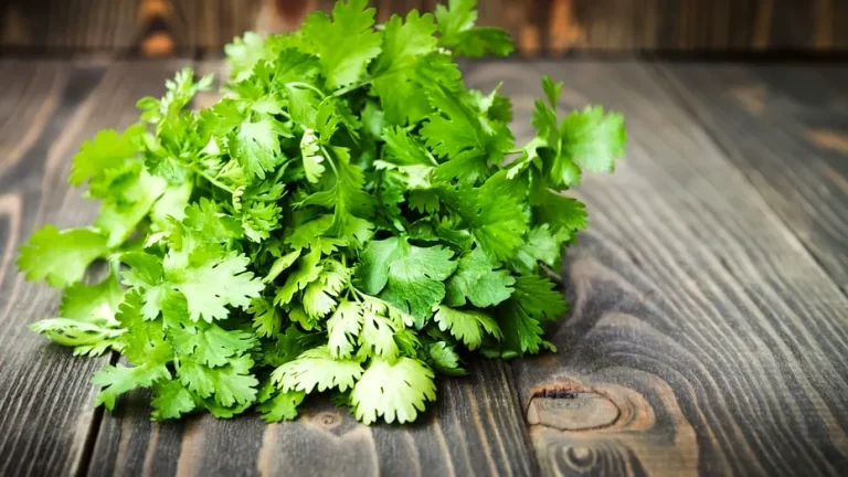 De ce unii oameni simt coriandrul ca pe săpun: explicația genetică surprinzătoare