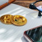 Dogecoin și cultura internetului mai mult decât o criptomonedă