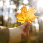 Astenia de toamnă îți poate afecta energia și starea de spirit. Cum să scapi de oboseală și tristețe