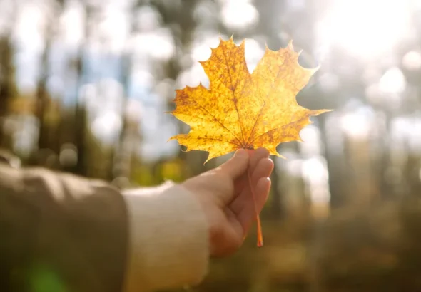 Astenia de toamnă îți poate afecta energia și starea de spirit. Cum să scapi de oboseală și tristețe